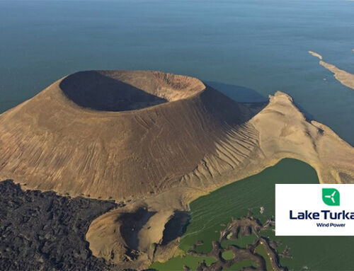 Wind Farm Asset Management Software