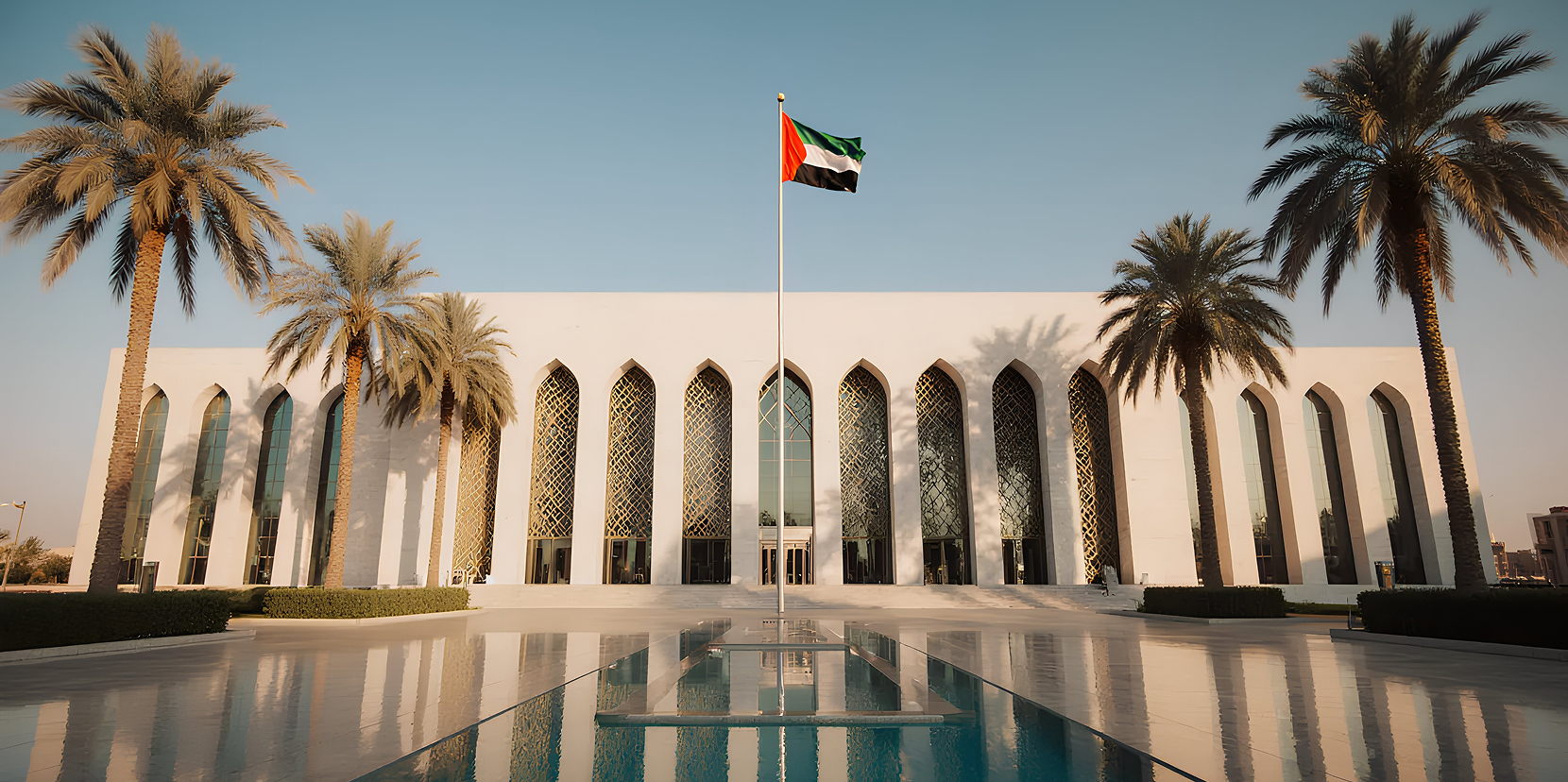 Government Organization